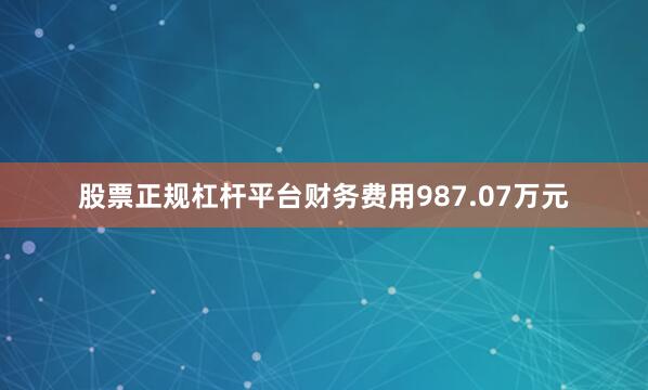 股票正规杠杆平台财务费用987.07万元
