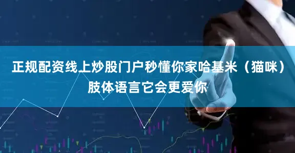 正规配资线上炒股门户秒懂你家哈基米（猫咪）肢体语言它会更爱你