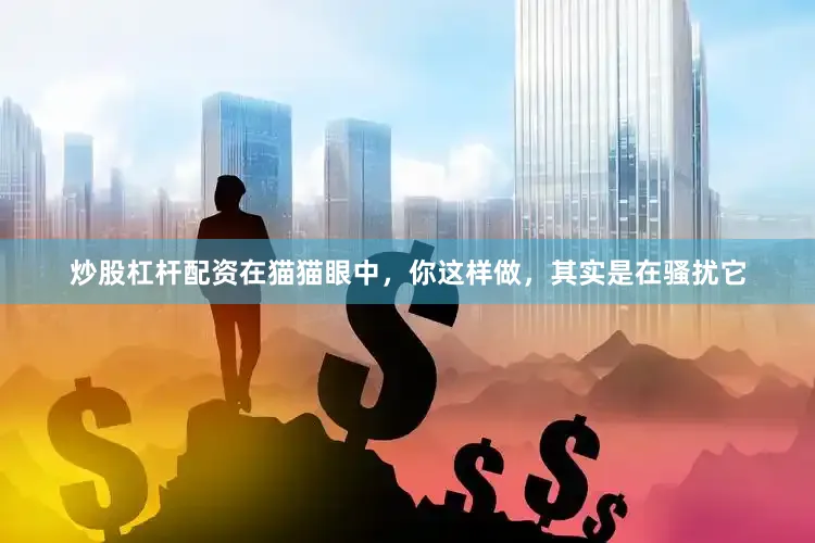 炒股杠杆配资在猫猫眼中，你这样做，其实是在骚扰它