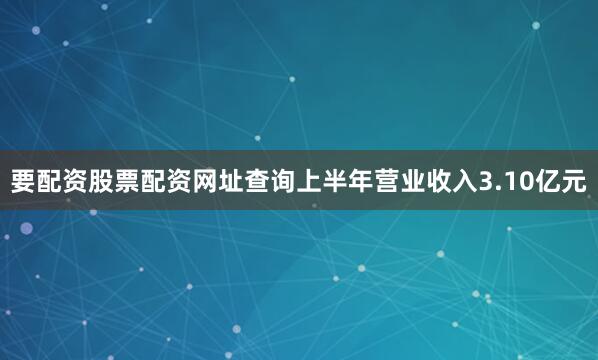 要配资股票配资网址查询上半年营业收入3.10亿元